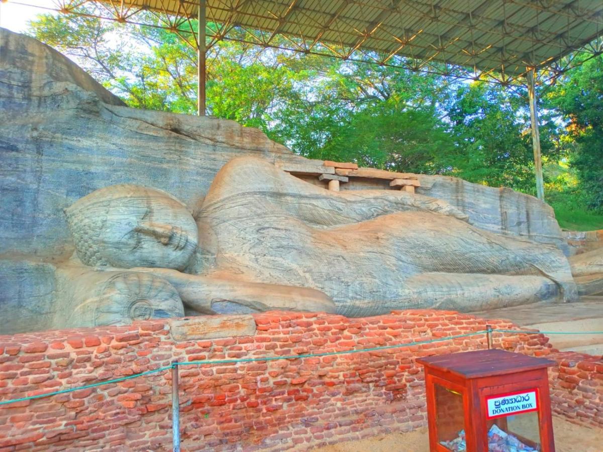 Royal Nest Bed & Breakfast Polonnaruwa Bagian luar foto